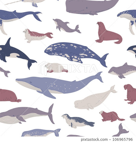 Marine mammals seamless pattern, flat vector illustration on white background. Marine mammals seamless pattern, flat vector illustration on white background. 106965796