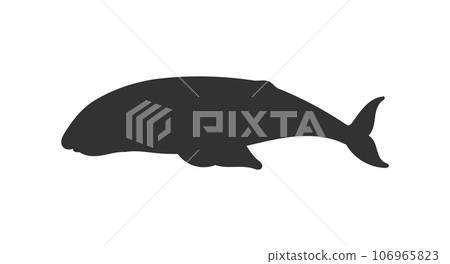 Baleen whale black shape silhouette image, vector illustration isolated. 106965823