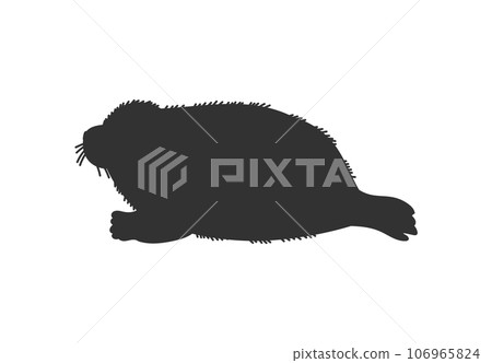 Fur seal baby, black silhouette icon, flat vector illustration isolated on white background. 106965824