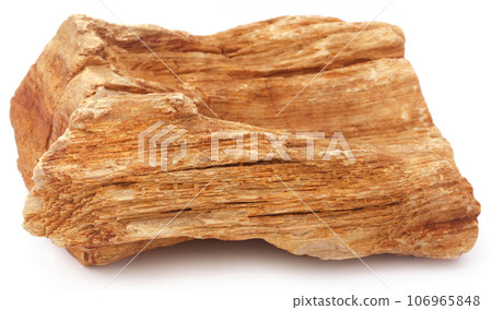 Sedimentary rocks Sedimentary rocks 106965848