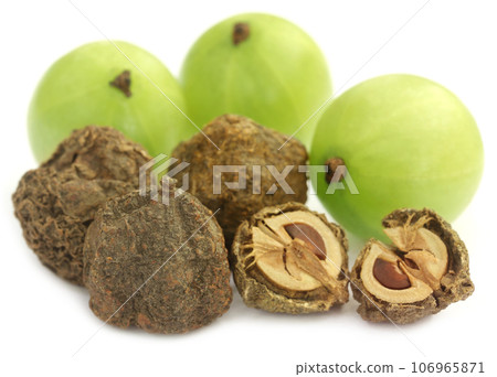 Dry and fresh amla Dry and fresh amla 106965871