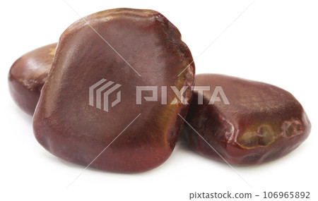Entada phaseoloides Entada phaseoloides 106965892