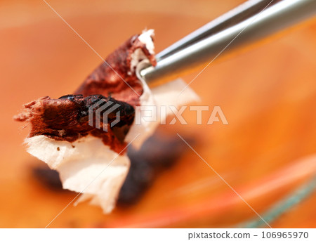 Blood in tissue paper held by forceps Blood in tissue paper held by forceps 106965970