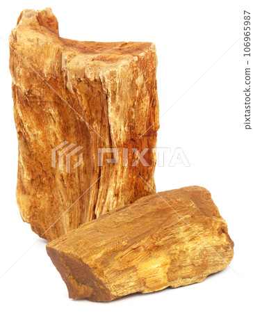 Pieces of fossil rock over white background 106965987