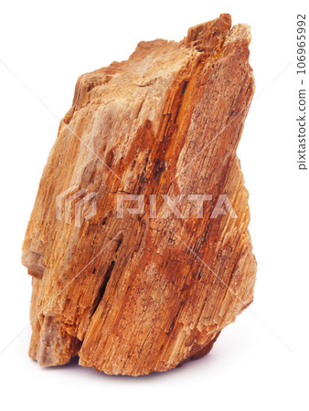 Fossil Rock 106965992
