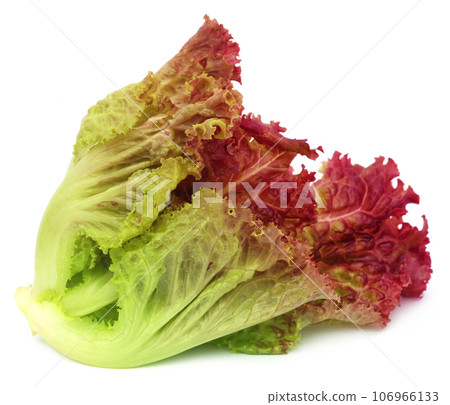 Fresh lettuce 106966133