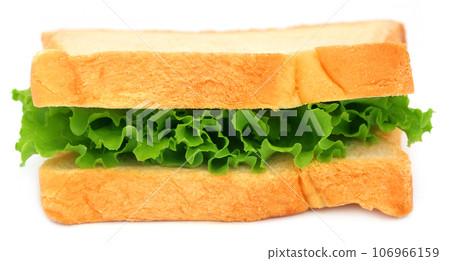 Bread slices with green lettuce inside Bread slices with green lettuce inside 106966159