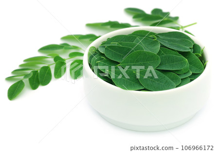 Edible moringa leaves Edible moringa leaves 106966172