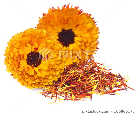 Closeup of calendula Closeup of calendula 106966173
