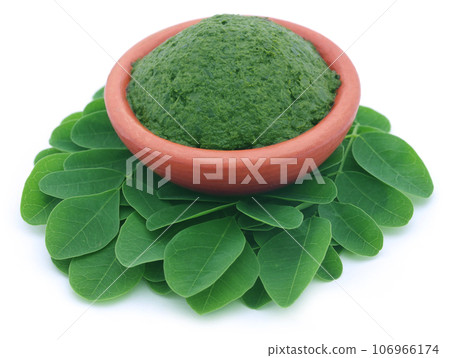 Edible moringa leaves with mashed ones in a pottery Edible moringa leaves with mashed ones in a pottery 106966174