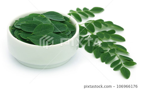Edible moringa leaves 106966176
