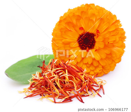 Closeup of calendula with green leaf 106966177