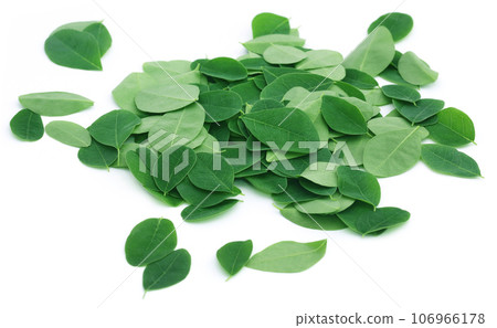 Moringa leaves 106966178