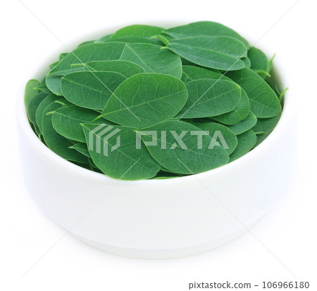 Moringa leaves Moringa leaves 106966180