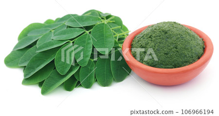 Mashed Moringa leaves in a pottery Mashed Moringa leaves in a pottery 106966194
