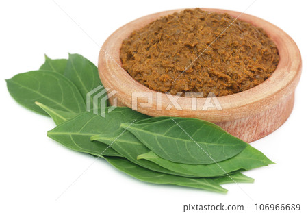 Ayurvedic henna leaves with paste 106966689