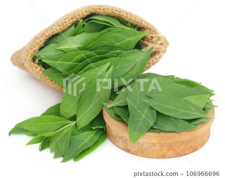 Henna leaves in sack and a wooden bowl 106966696