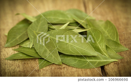 Henna leaves 106966698