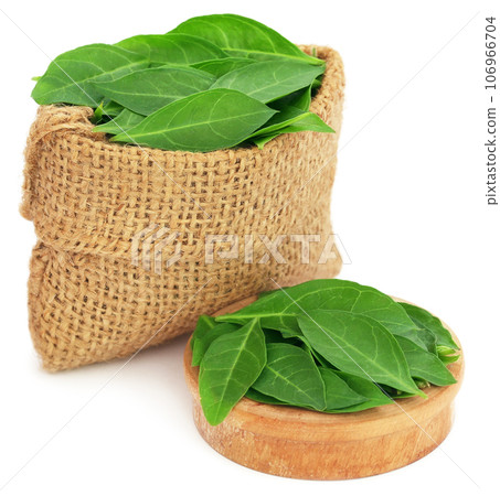 Henna leaves in sack and a wooden bowl 106966704