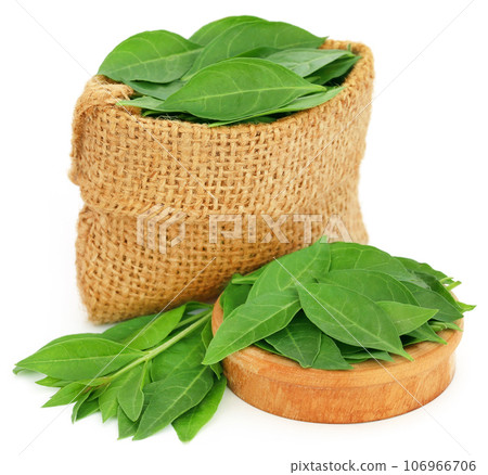 Henna leaves in sack and a wooden bowl 106966706