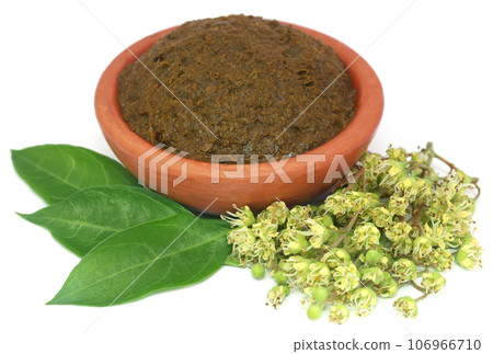 Ayurvedic henna leaves with flowers and paste 106966710