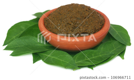 Ayurvedic henna leaves with paste 106966711