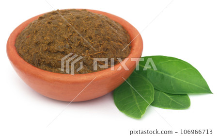 Ayurvedic henna leaves with paste Ayurvedic henna leaves with paste 106966713