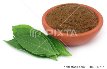 Ayurvedic henna leaves with paste 106966714