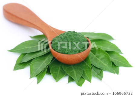 Ayurvedic henna leaves with paste 106966722