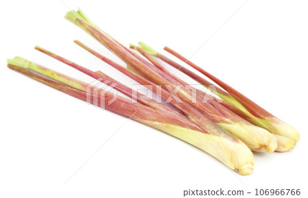 Pink lemongrass 106966766