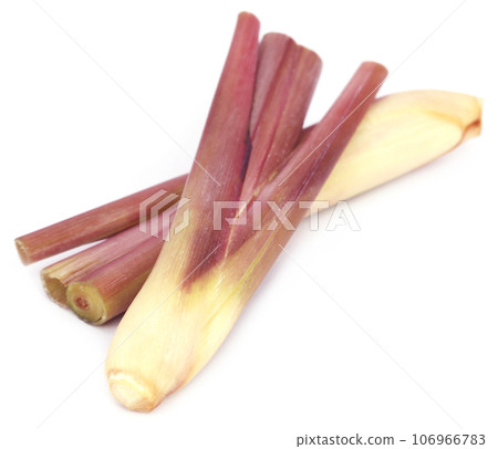 Lemongrass 106966783