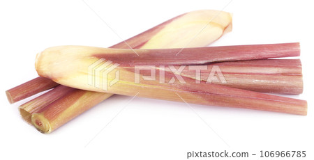 Lemongrass 106966785