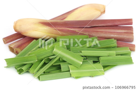 Lemongrass 106966795