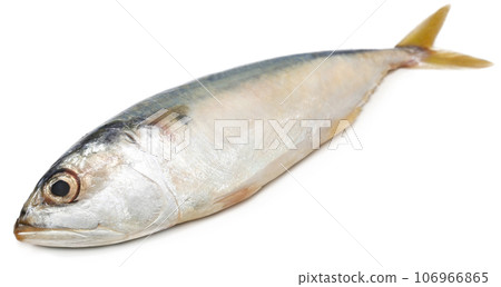 Tuna fish Tuna fish 106966865