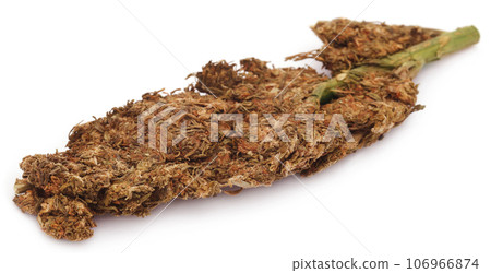 Medicinal cannabis 106966874