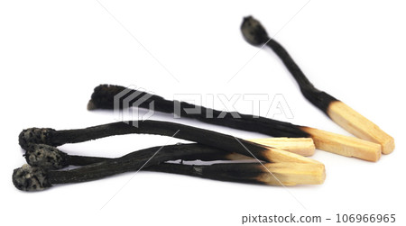 Burnt matchstick 106966965