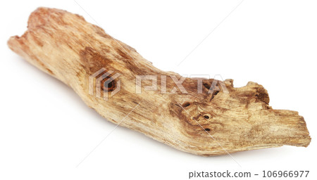 Bogwood Bogwood 106966977
