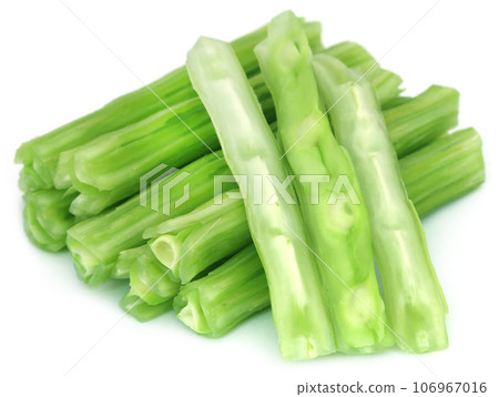 Edible moringa oleifera 106967016