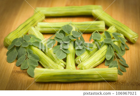 Medicinal moringa oleifera with leaves Medicinal moringa oleifera with leaves 106967021