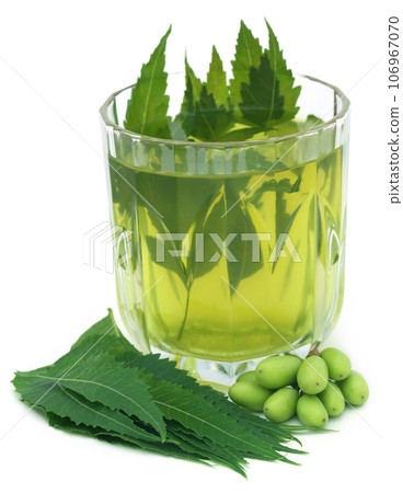 Medicinal neem extract with fruits and leaves 106967070