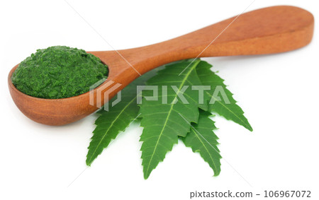 Medicinal neem leaves with ground paste 106967072