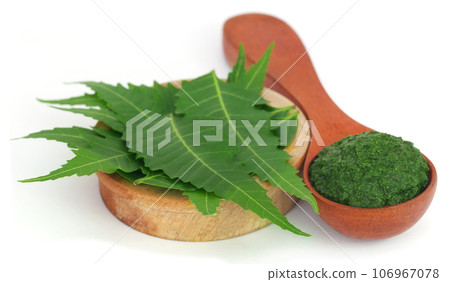 Medicinal neem leaves with ground paste Medicinal neem leaves with ground paste 106967078