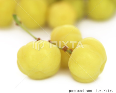 Phyllanthus acidus or Star gooseberry 106967139