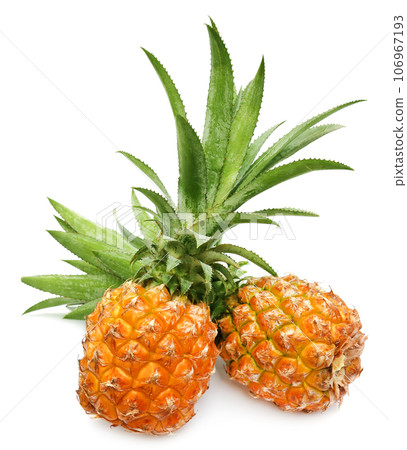 Popular honey queen pineapple of Bangladesh Popular honey queen pineapple of Bangladesh 106967193