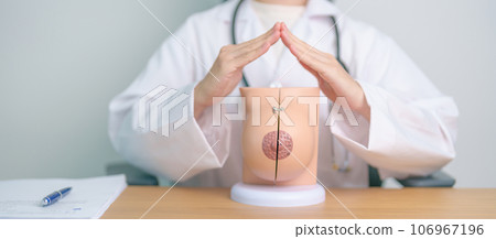 Doctor hand cover Breast Anatomy model. Breast Augmentation Surgery, October Breast Cancer Awareness month, implant, Diagnosis, Beauty woman enlargement and medical education concept Doctor hand cover Breast Anatomy model. Breast Augmentation Surgery, October Breast Cancer Awareness month, implant, Diagnosis, Beauty woman enlargement and medical education concept 106967196