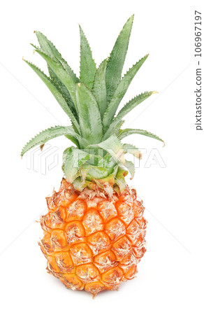 Whole pineapple Whole pineapple 106967197