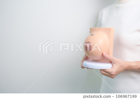 Woman holding Breast Anatomy model. Breast Augmentation Surgery, October Breast Cancer Awareness month, Pregnant, Diagnosis, Beauty woman enlargement and medical concept Woman holding Breast Anatomy model. Breast Augmentation Surgery, October Breast Cancer Awareness month, Pregnant, Diagnosis, Beauty woman enlargement and medical concept 106967199