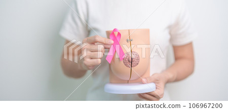 Pink October Breast Cancer Awareness month, woman with pink Ribbon and Breast Anatomy model. National cancer survivors month, health diagnosis, Mother and World cancer day concept Pink October Breast Cancer Awareness month, woman with pink Ribbon and Breast Anatomy model. National cancer survivors month, health diagnosis, Mother and World cancer day concept 106967200