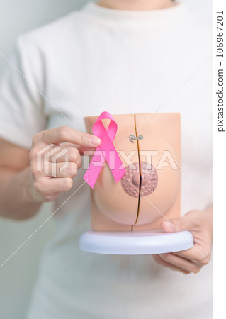 Pink October Breast Cancer Awareness month, woman with pink Ribbon and Breast Anatomy model. National cancer survivors month, health diagnosis, Mother and World cancer day concept Pink October Breast Cancer Awareness month, woman with pink Ribbon and Breast Anatomy model. National cancer survivors month, health diagnosis, Mother and World cancer day concept 106967201