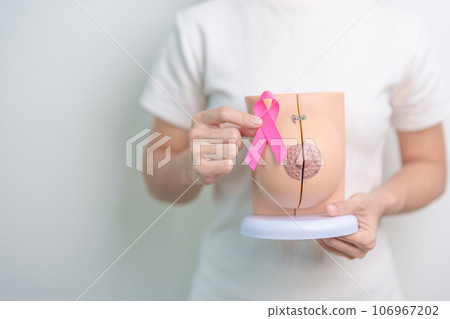 Pink October Breast Cancer Awareness month, woman with pink Ribbon and Breast Anatomy model. National cancer survivors month, health diagnosis, Mother and World cancer day concept Pink October Breast Cancer Awareness month, woman with pink Ribbon and Breast Anatomy model. National cancer survivors month, health diagnosis, Mother and World cancer day concept 106967202